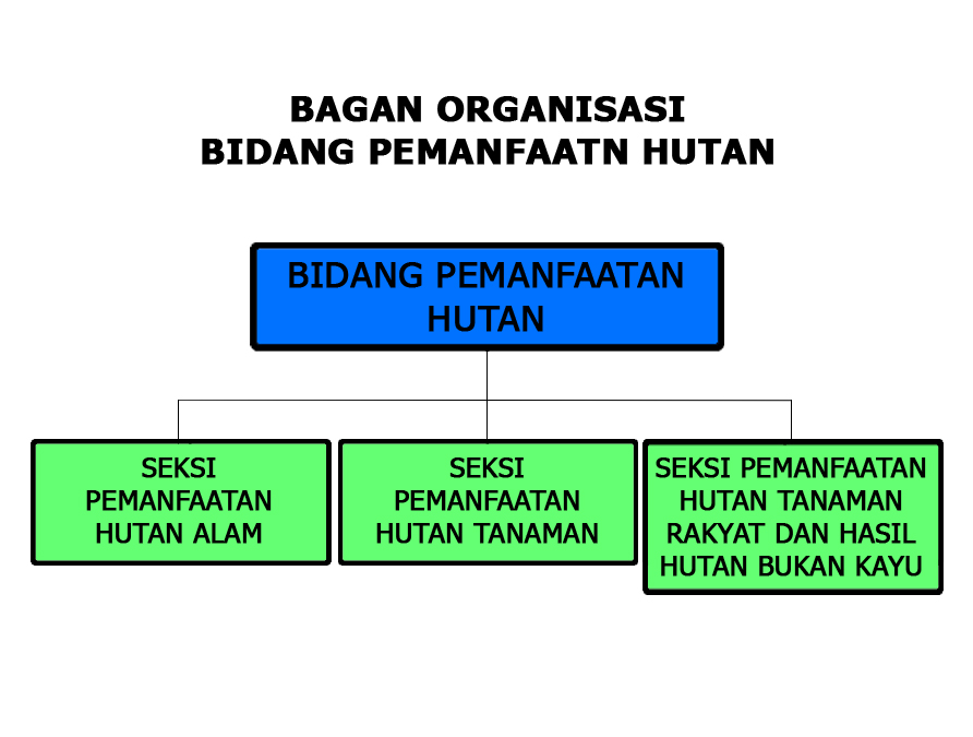 Bidang Pemanfaatan Hutan . Dinas Kehutanan Provinsi Riau